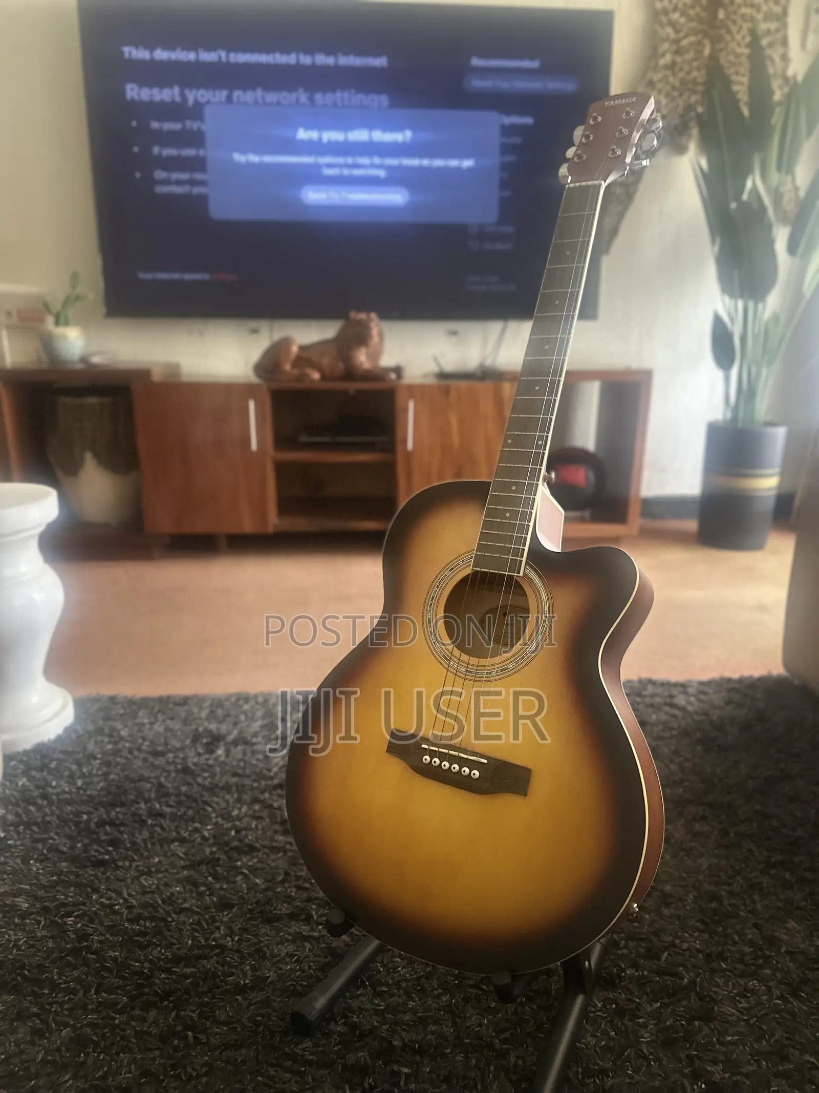 Electric Guitar