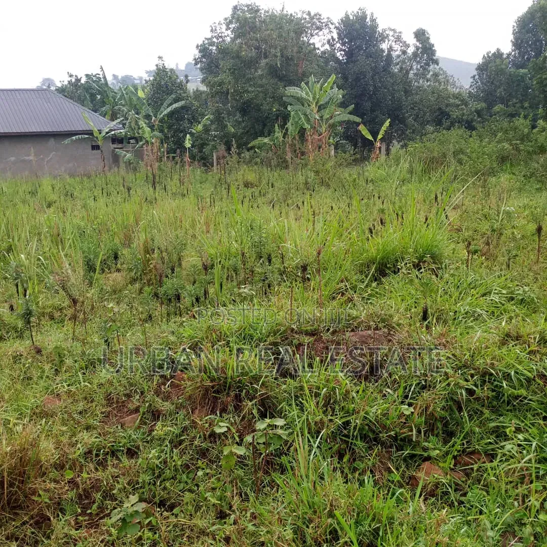 Matugga_kigogwa Land for Sale