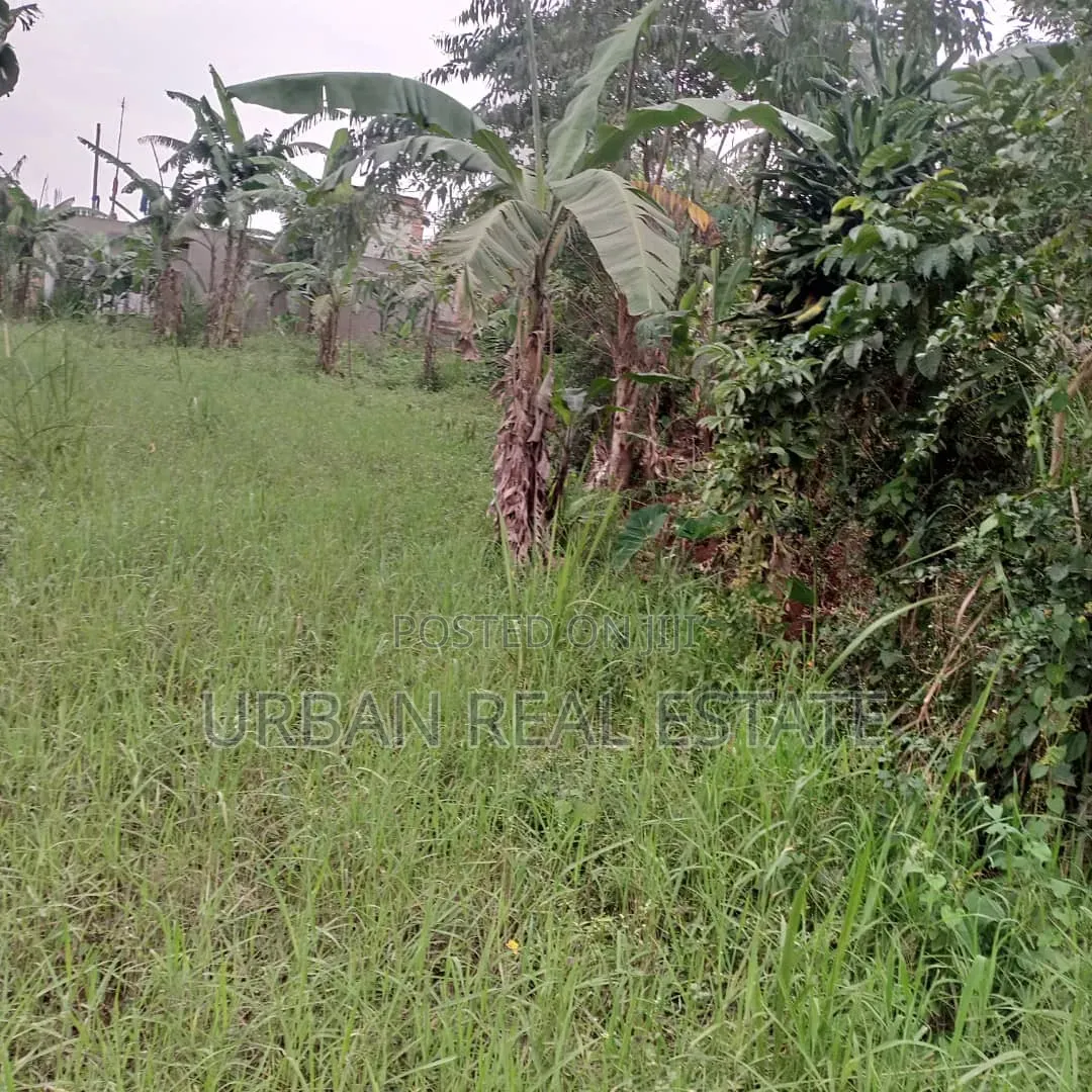 Land for Sale Matugga Town