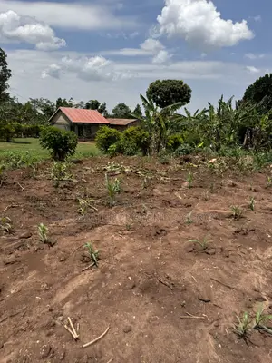 50by50ft and 50by100ft Plots at Nakifuma-Kakinzi Kabaka Land