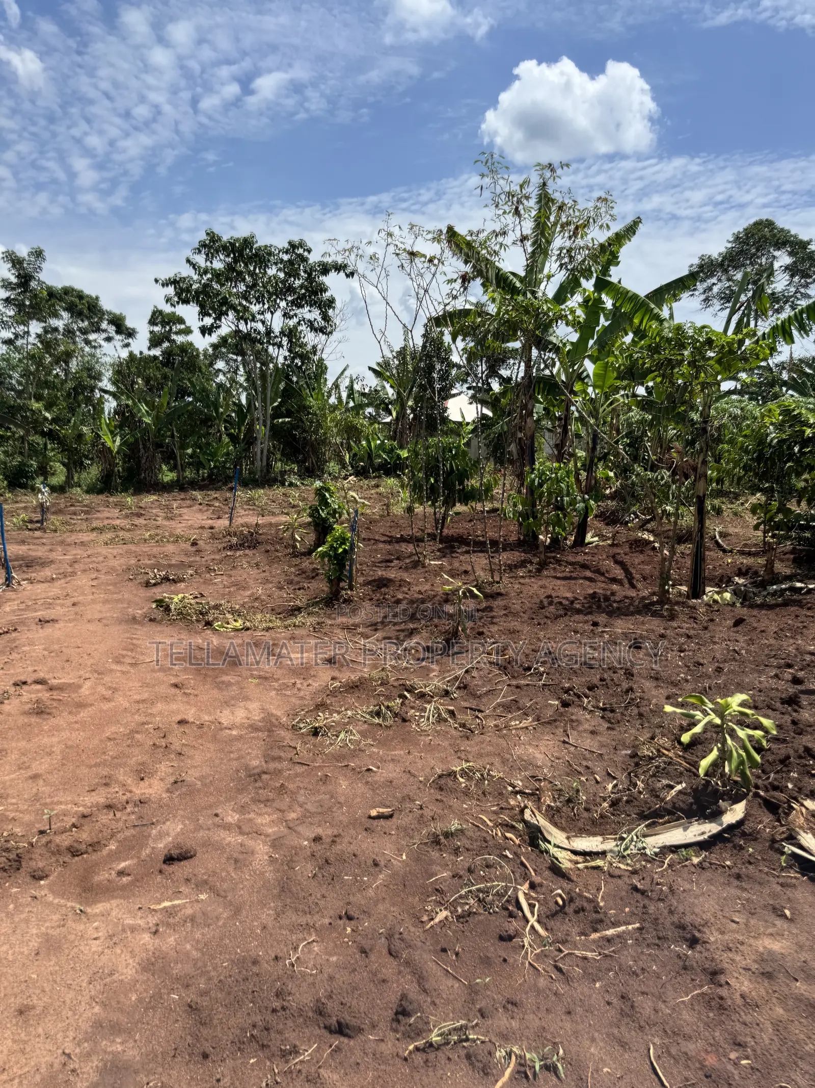 50by50ft and 50by100ft Plots at Nakifuma-Kakinzi Kabaka Land