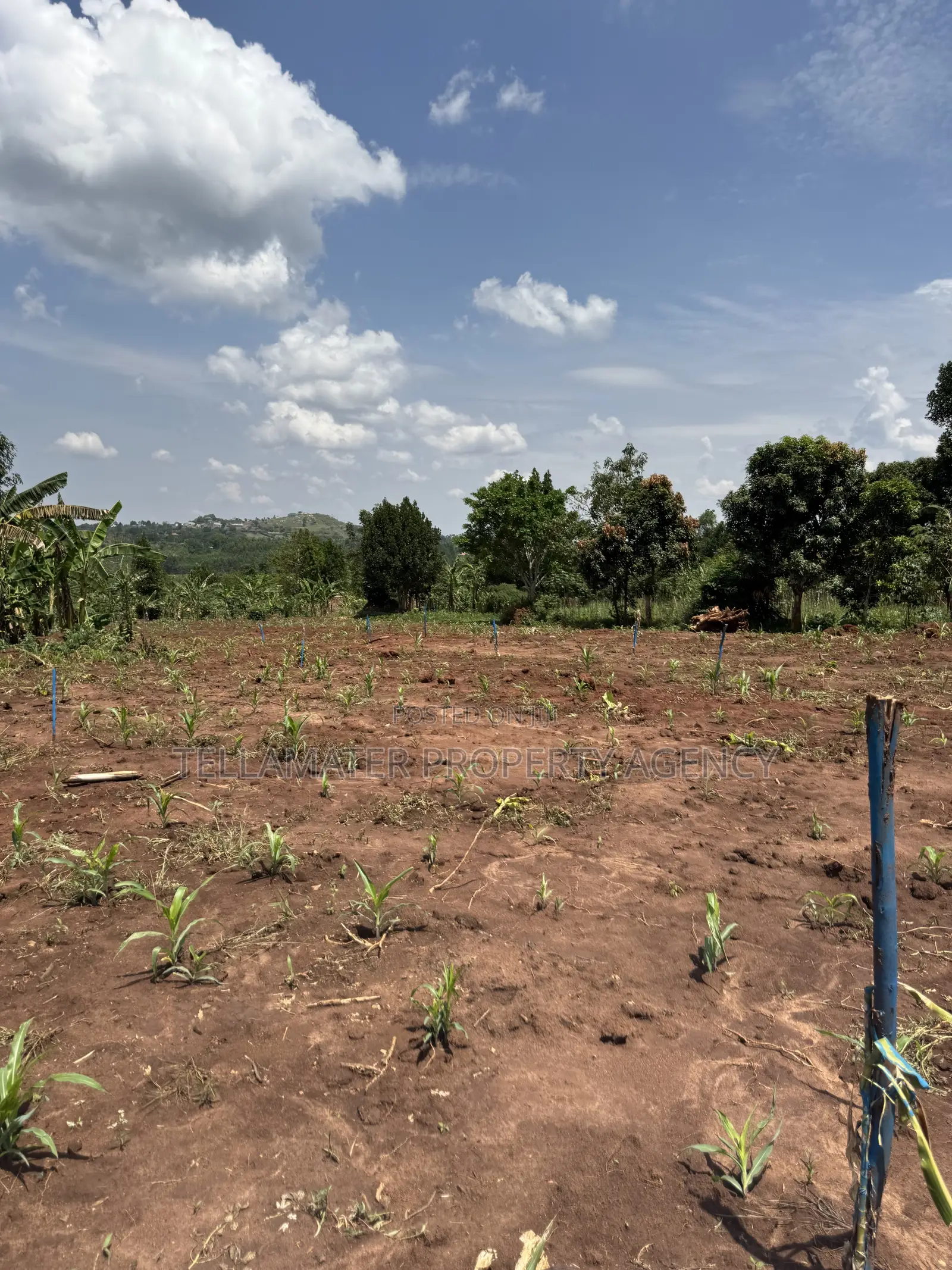 50by50ft and 50by100ft Plots at Nakifuma-Kakinzi Kabaka Land