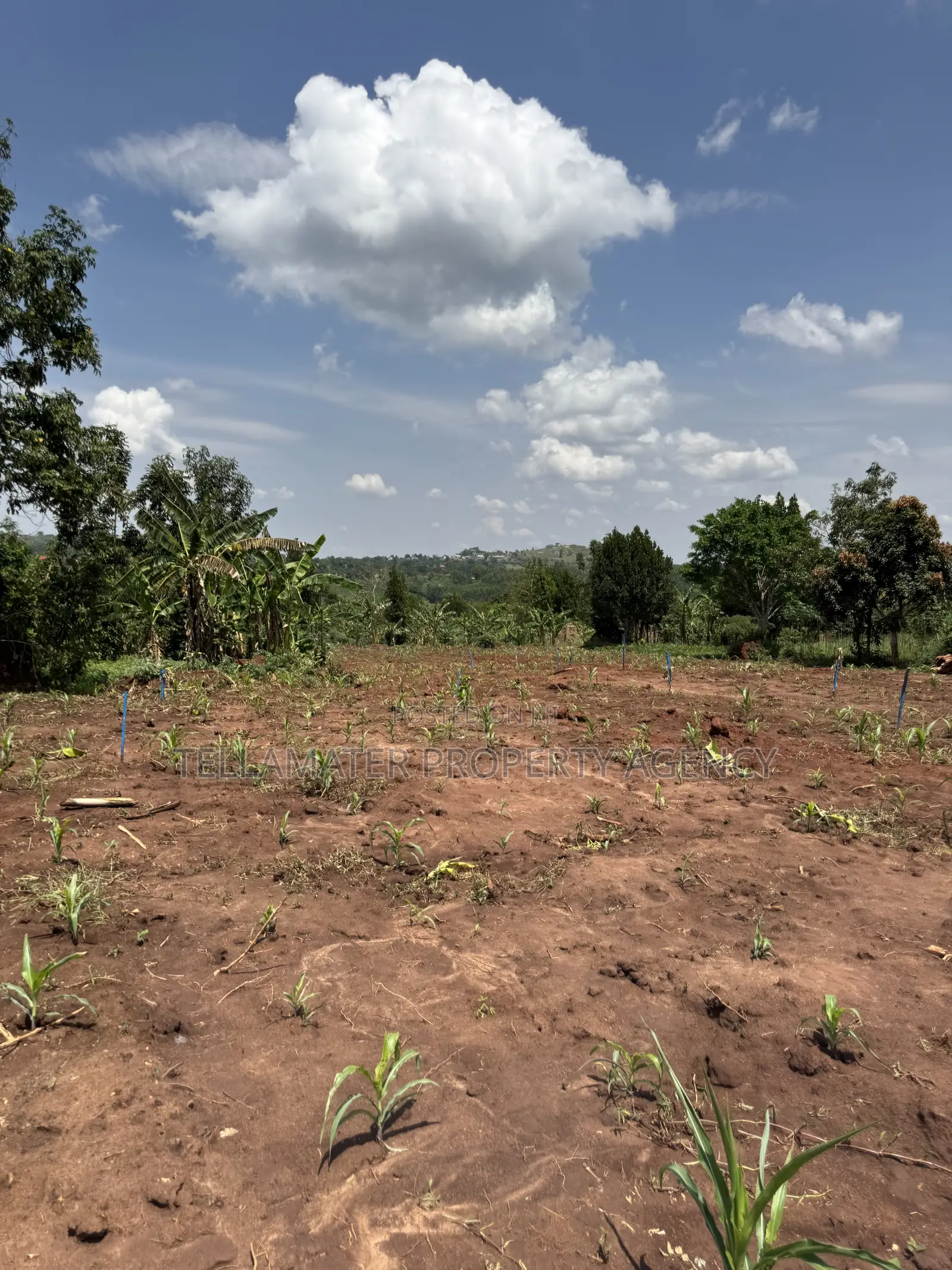 50by50ft and 50by100ft Plots at Nakifuma-Kakinzi Kabaka Land