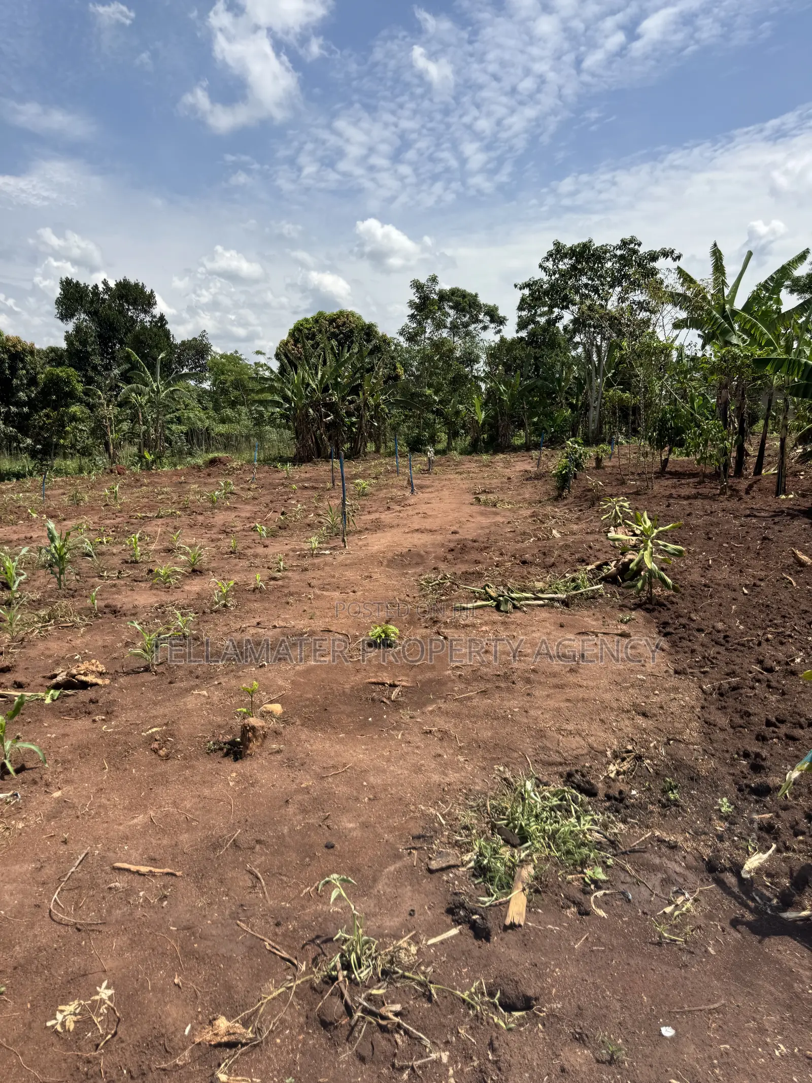 50by50ft and 50by100ft Plots at Nakifuma-Kakinzi Kabaka Land