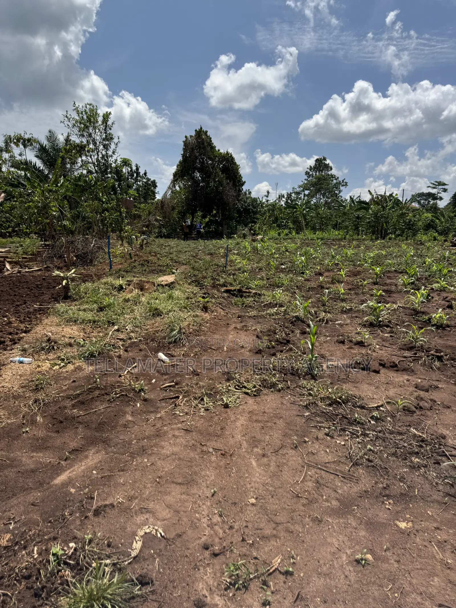 50by50ft and 50by100ft Plots at Nakifuma-Kakinzi Kabaka Land