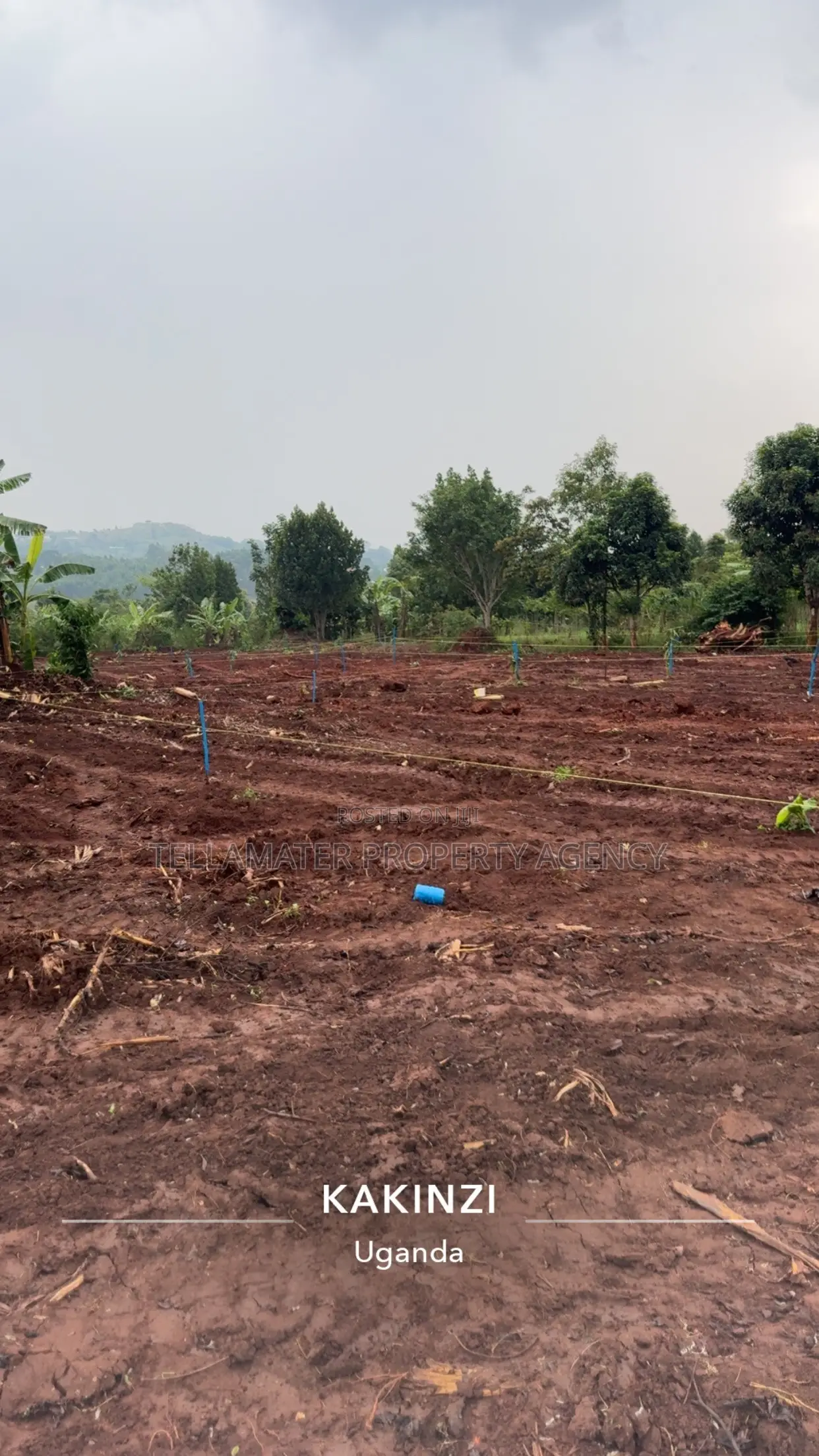 50by50ft and 50by100ft Plots at Nakifuma-Kakinzi Kabaka Land