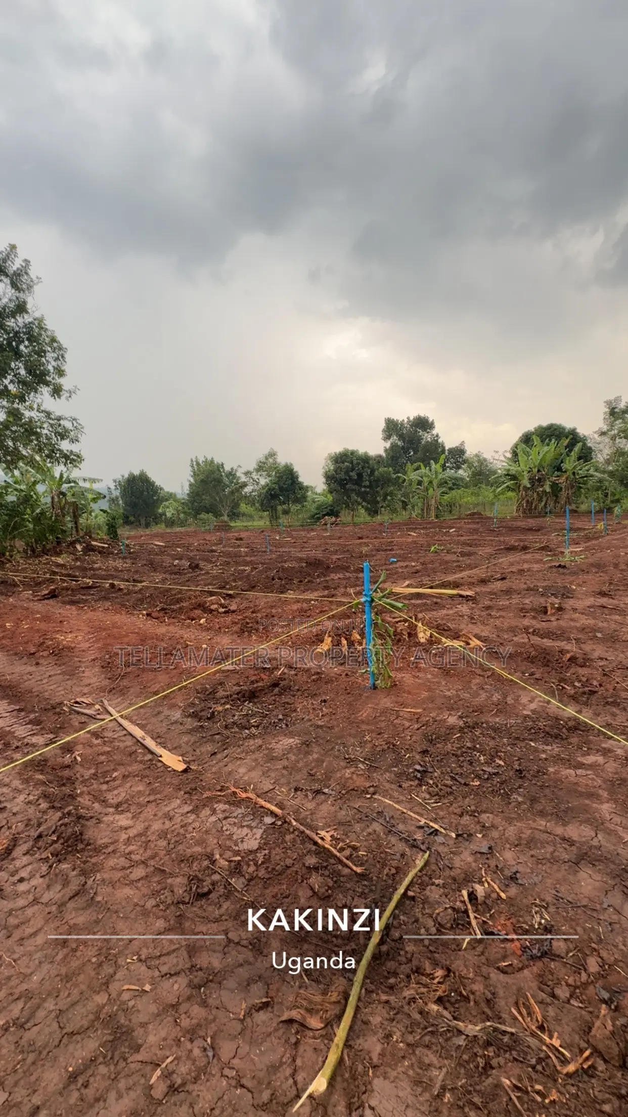 50by50ft and 50by100ft Plots at Nakifuma-Kakinzi Kabaka Land
