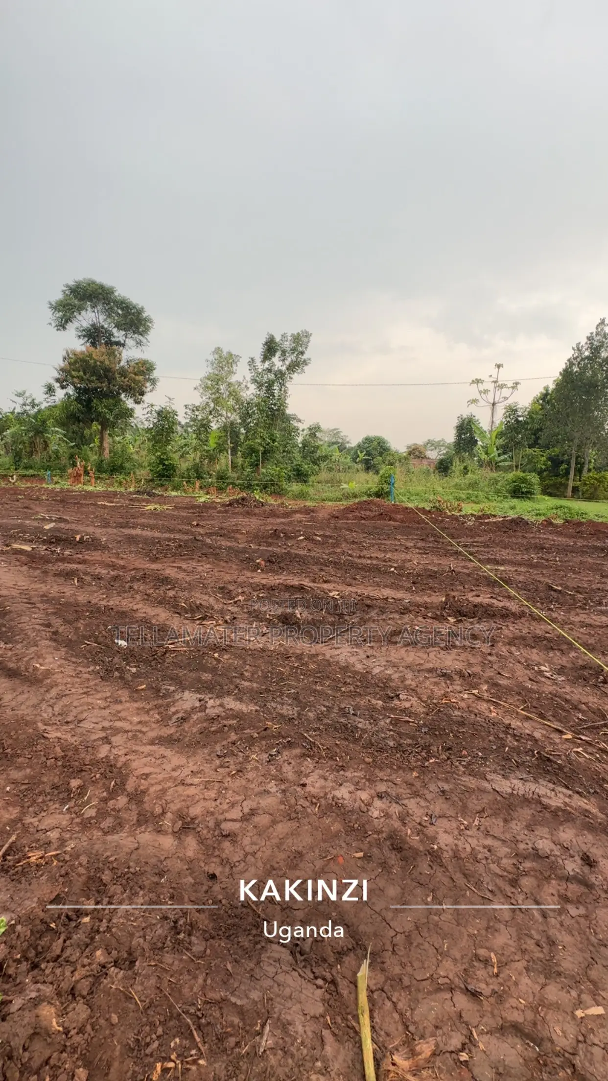 50by50ft and 50by100ft Plots at Nakifuma-Kakinzi Kabaka Land