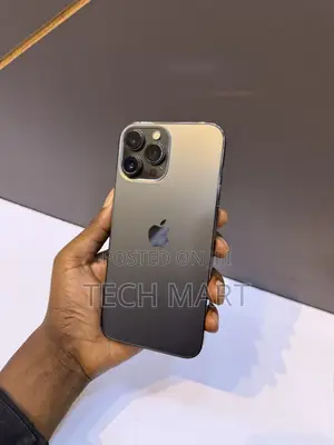 Apple iPhone 13 Pro 256 GB Gray