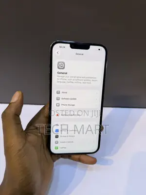 Apple iPhone 13 Pro 256 GB Gray