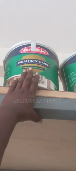 Plascon Weather Guard Soft White 4L Free Delivery Seguku