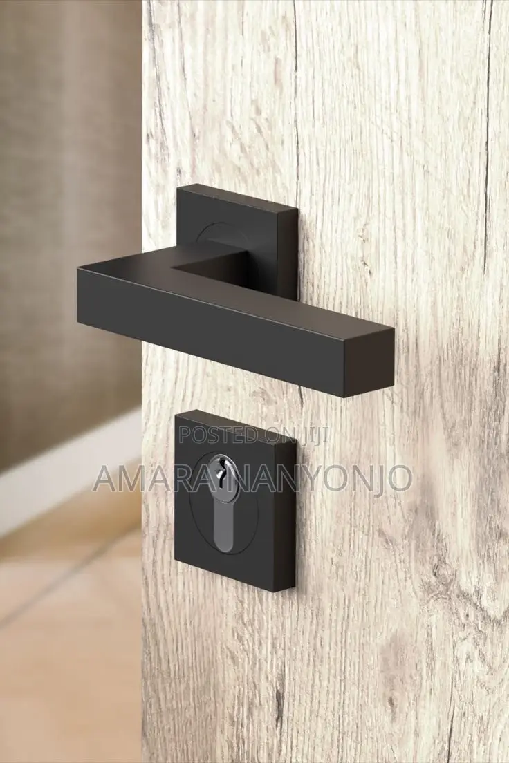 Door Handle and Lock Set