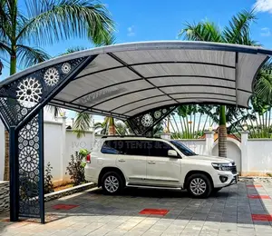 Decorative Arch Canopy Carport