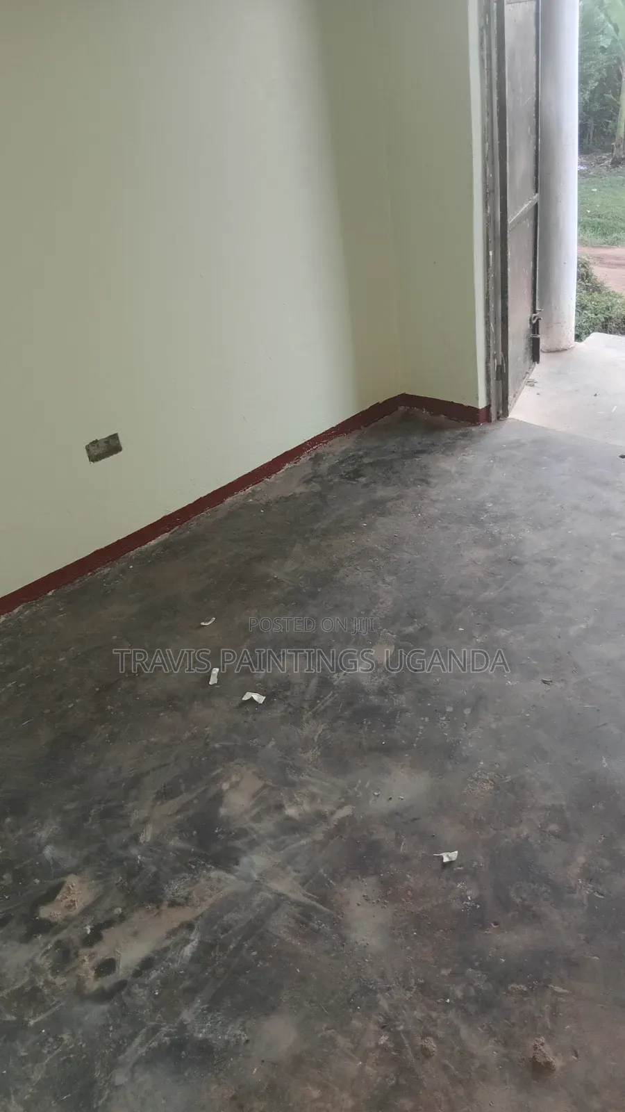 ​Professional Painting Color Change - Travis.