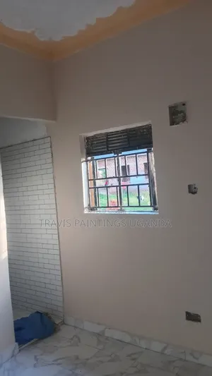 ​Professional Painting Color Change - Travis.