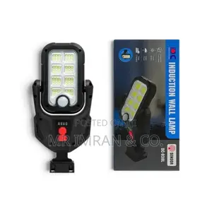 Solar-Powered LED Induction Wall Lamp