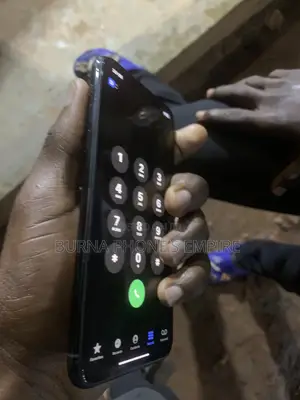 Apple iPhone 11 Pro Max 256 GB Blue