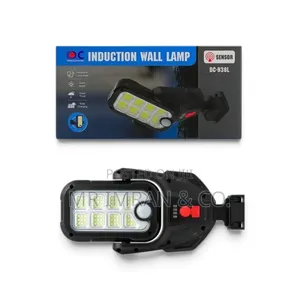Solar-Powered LED Induction Wall Lamp