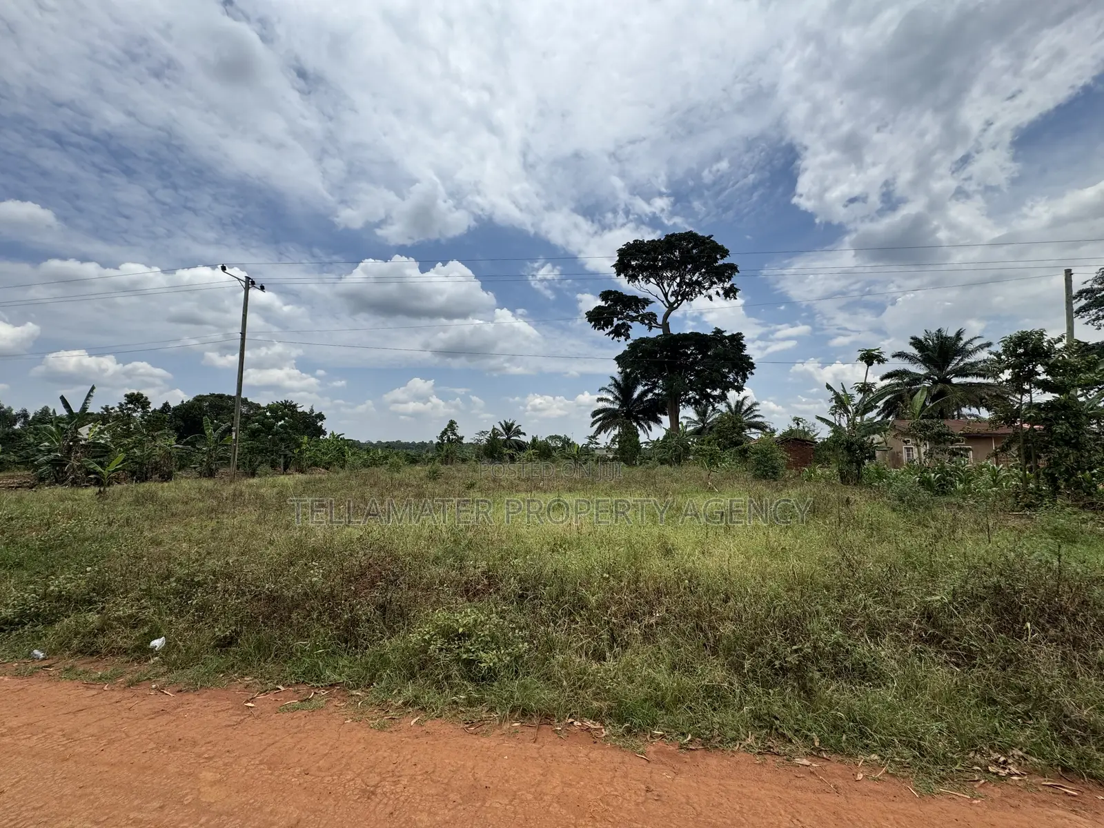 Nakifuma-Magogo Kigagga Estate 50by50ft and 50by100ft Plots Ndagaano