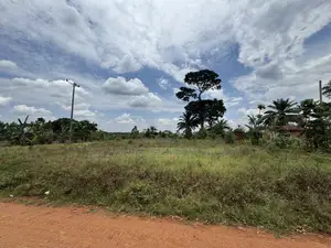Nakifuma-Magogo Kigagga Estate 50by50ft and 50by100ft Plots Ndagaano