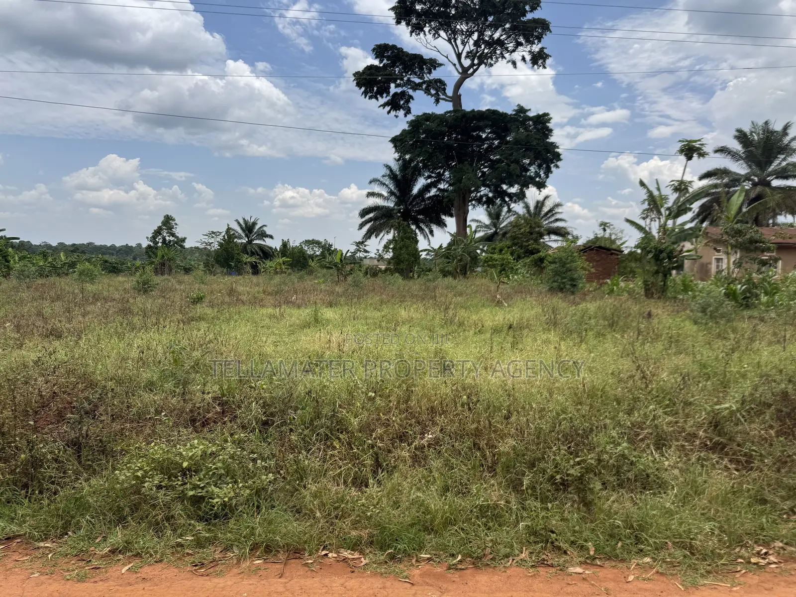 Nakifuma-Magogo Kigagga Estate 50by50ft and 50by100ft Plots Ndagaano