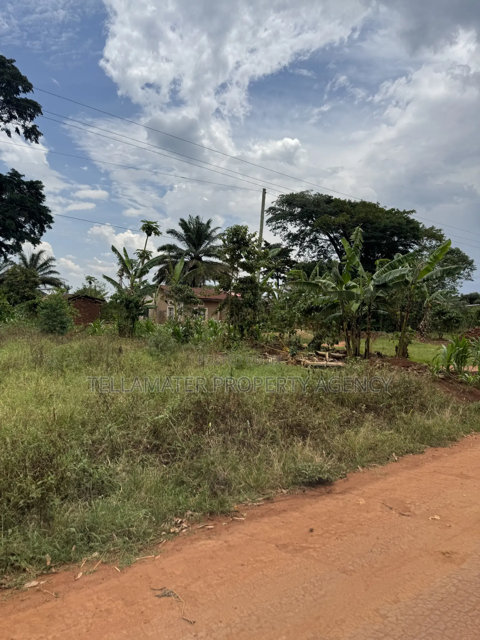 Nakifuma-Magogo Kigagga Estate 50by50ft and 50by100ft Plots Ndagaano