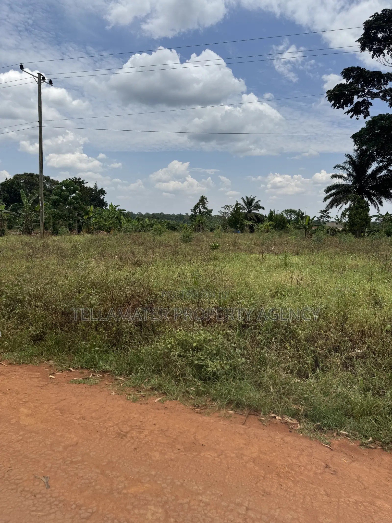 Nakifuma-Magogo Kigagga Estate 50by50ft and 50by100ft Plots Ndagaano