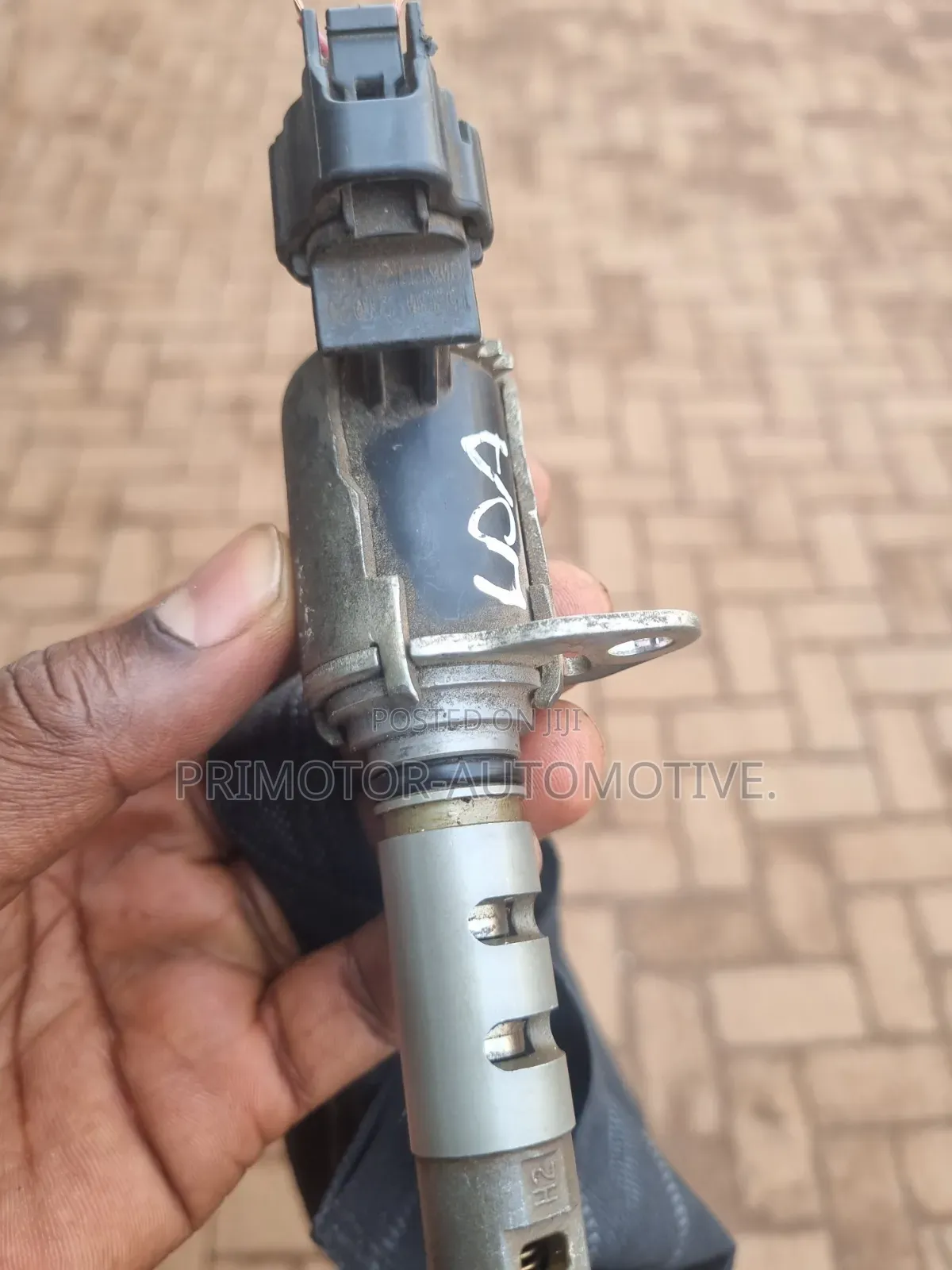 A Look at Your Genuine Spare