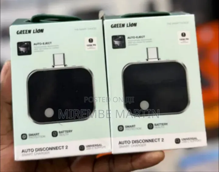 Green Lion Auto Disconnect 2 Smart Charger