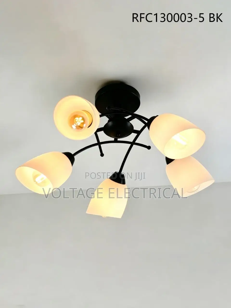 Ceiling Lights