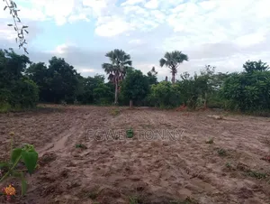 Largest Land on Quick Sale in d.o.c. Boroboro
