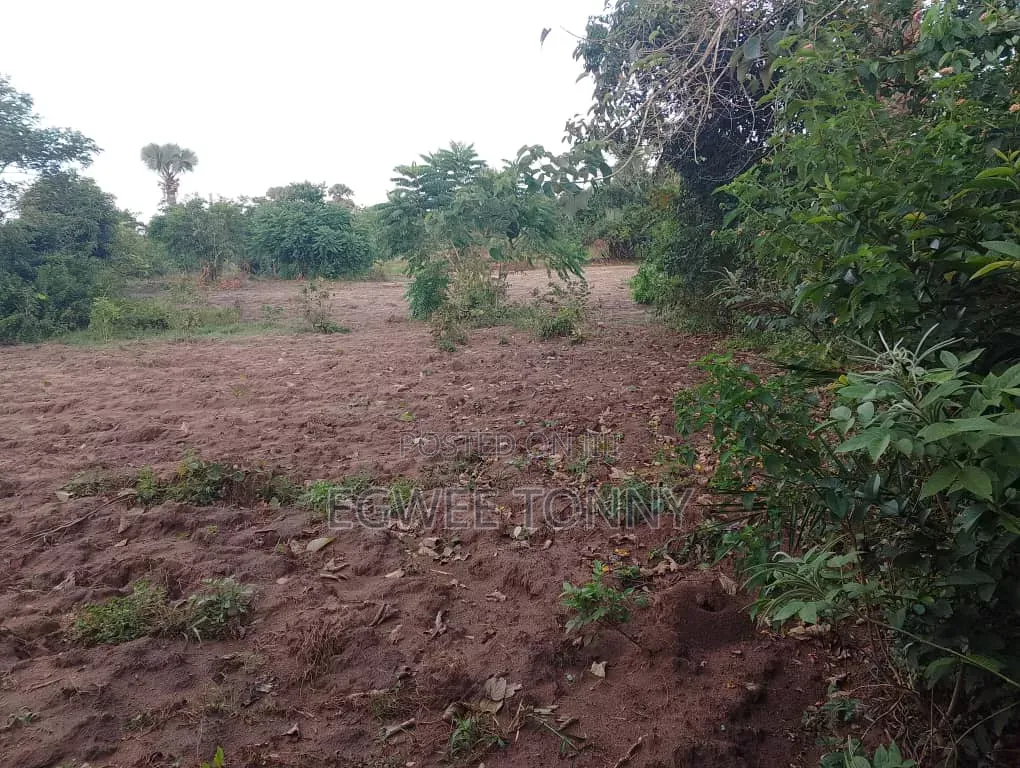 Largest Land on Quick Sale in d.o.c. Boroboro