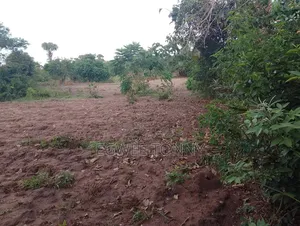 Largest Land on Quick Sale in d.o.c. Boroboro