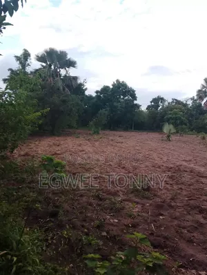 Largest Land on Quick Sale in d.o.c. Boroboro