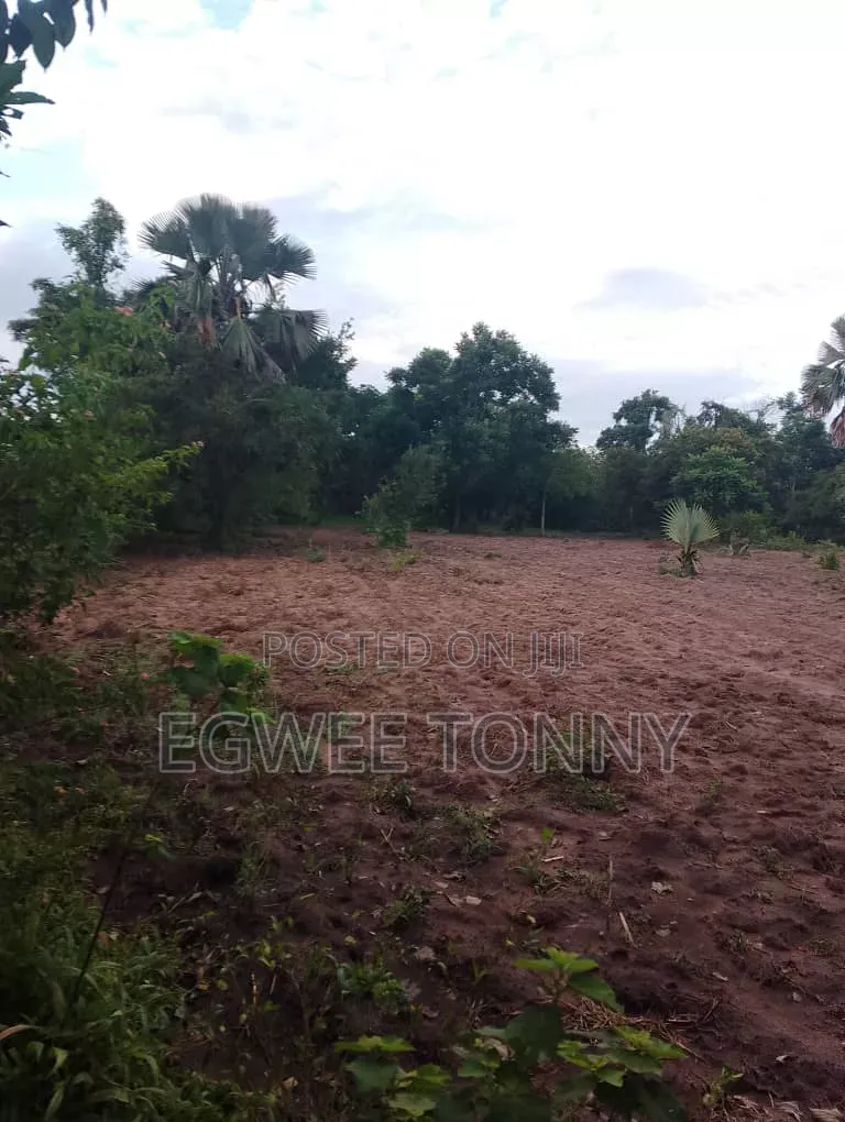 Largest Land on Quick Sale in d.o.c. Boroboro