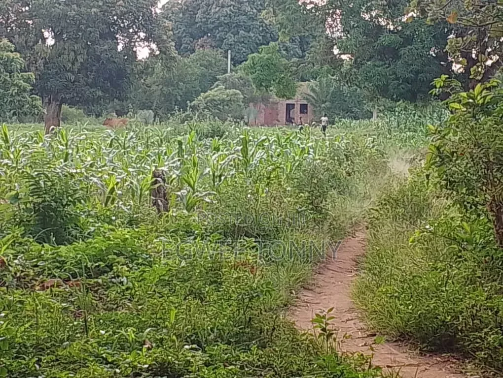 Largest Land on Quick Sale in d.o.c. Boroboro