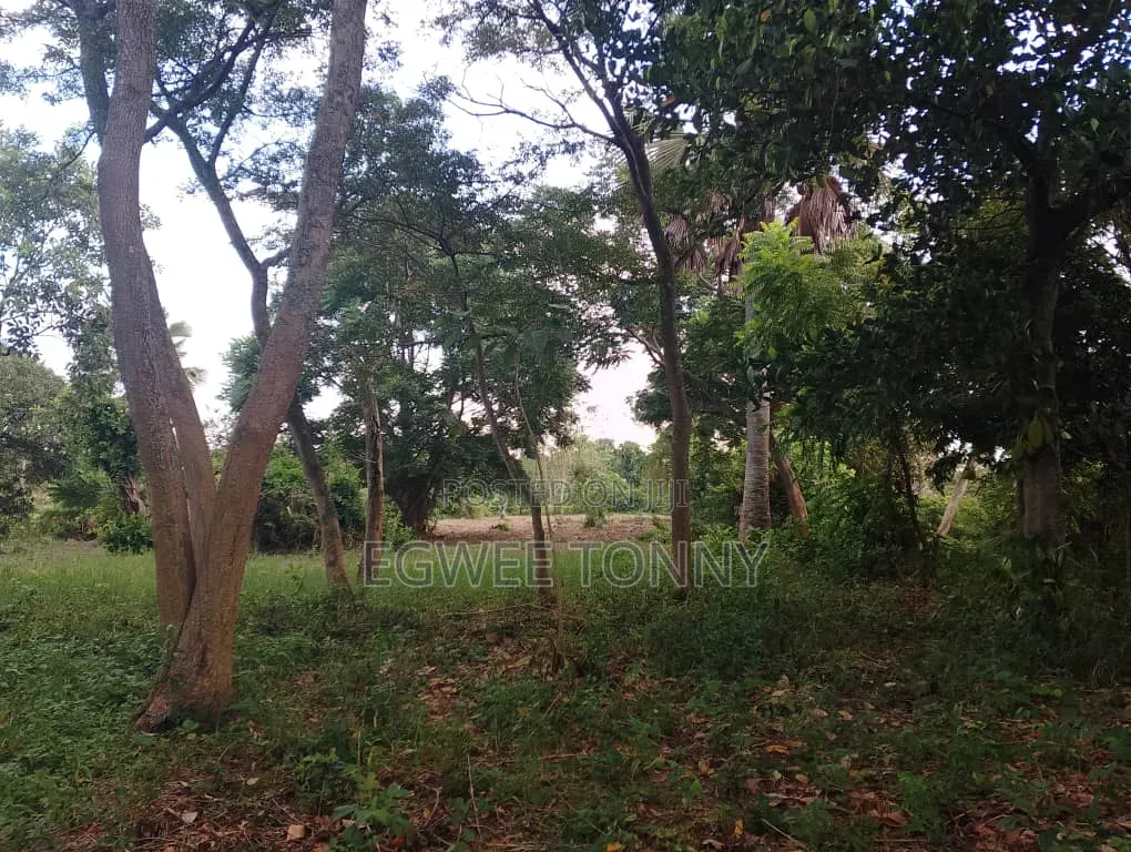 Largest Land on Quick Sale in d.o.c. Boroboro