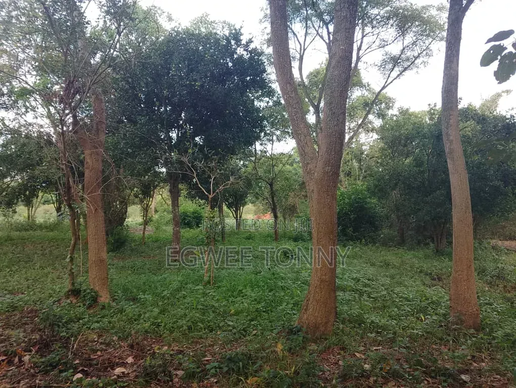 Largest Land on Quick Sale in d.o.c. Boroboro