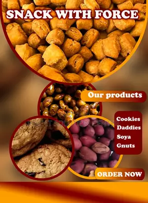 Flyer and Poster Designs