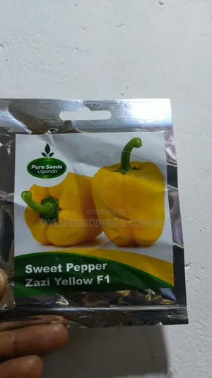 Yellow Sweet Bell Pepper Seeds 5g