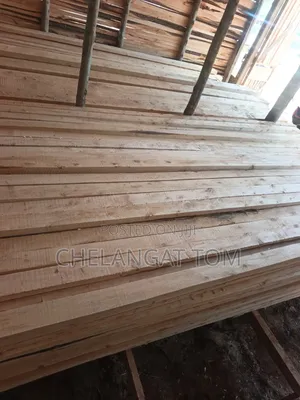 Cyprus Timber