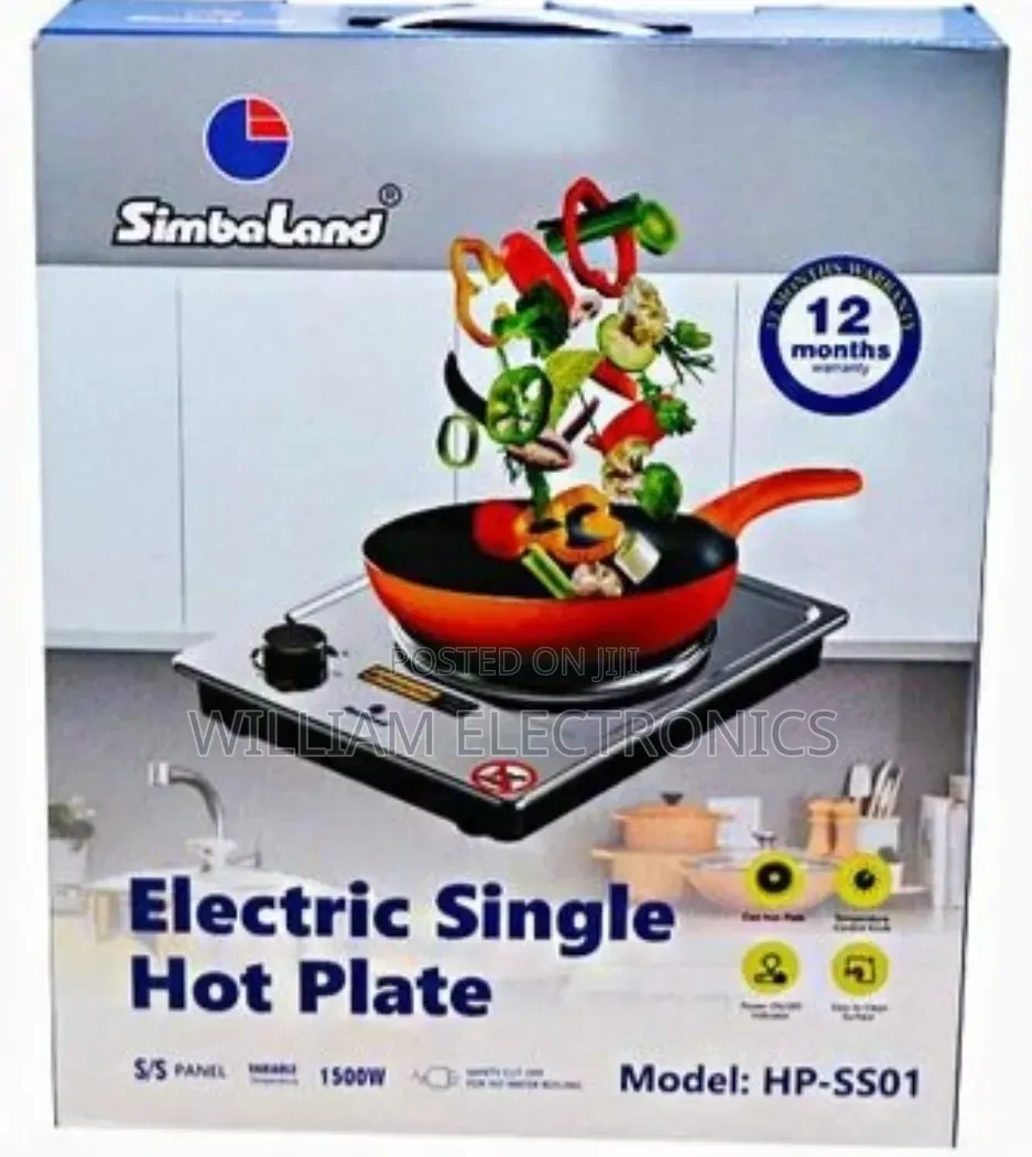 Electric Single Hot Plate With a Cast Iron Plate