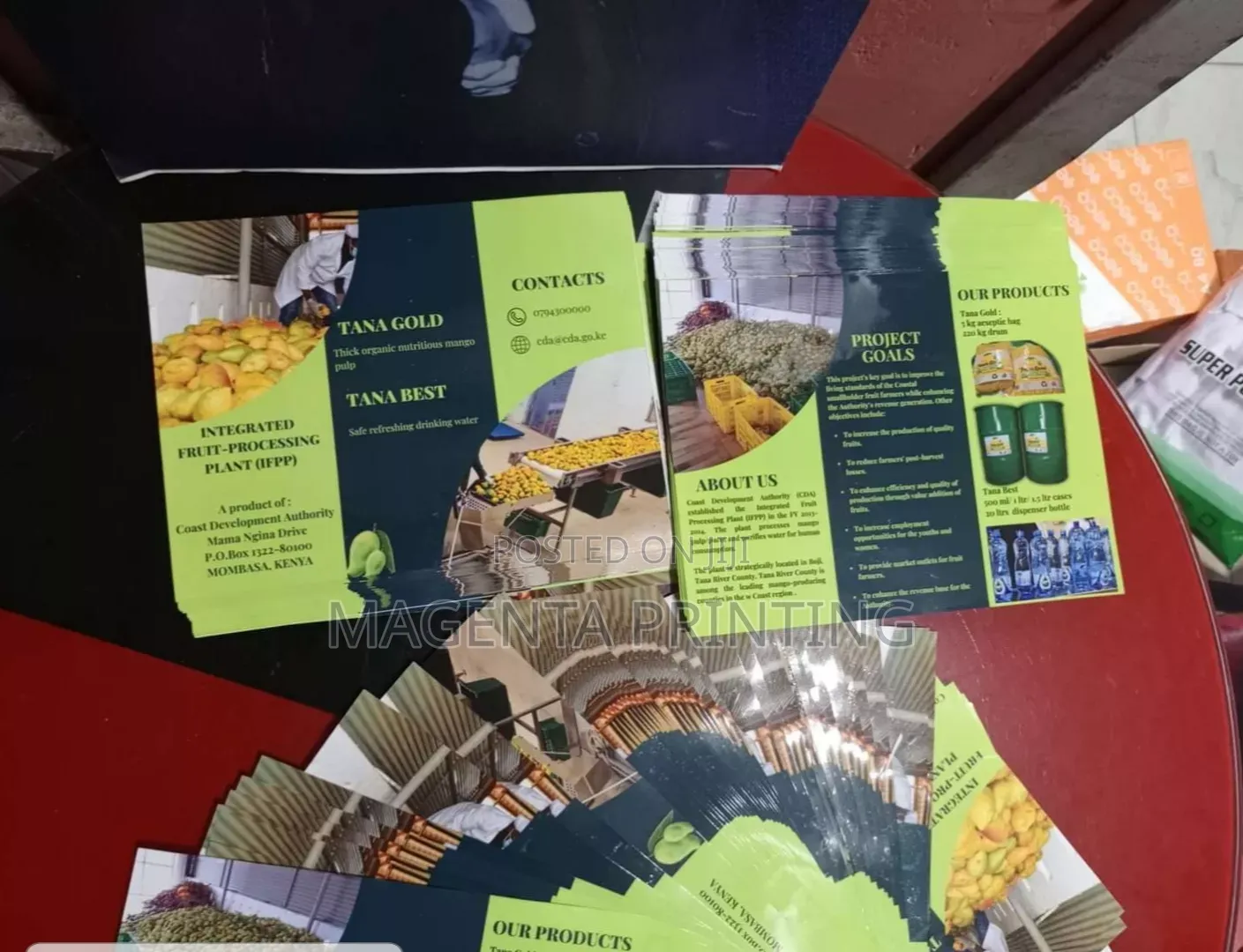 Brochure Printing Services
