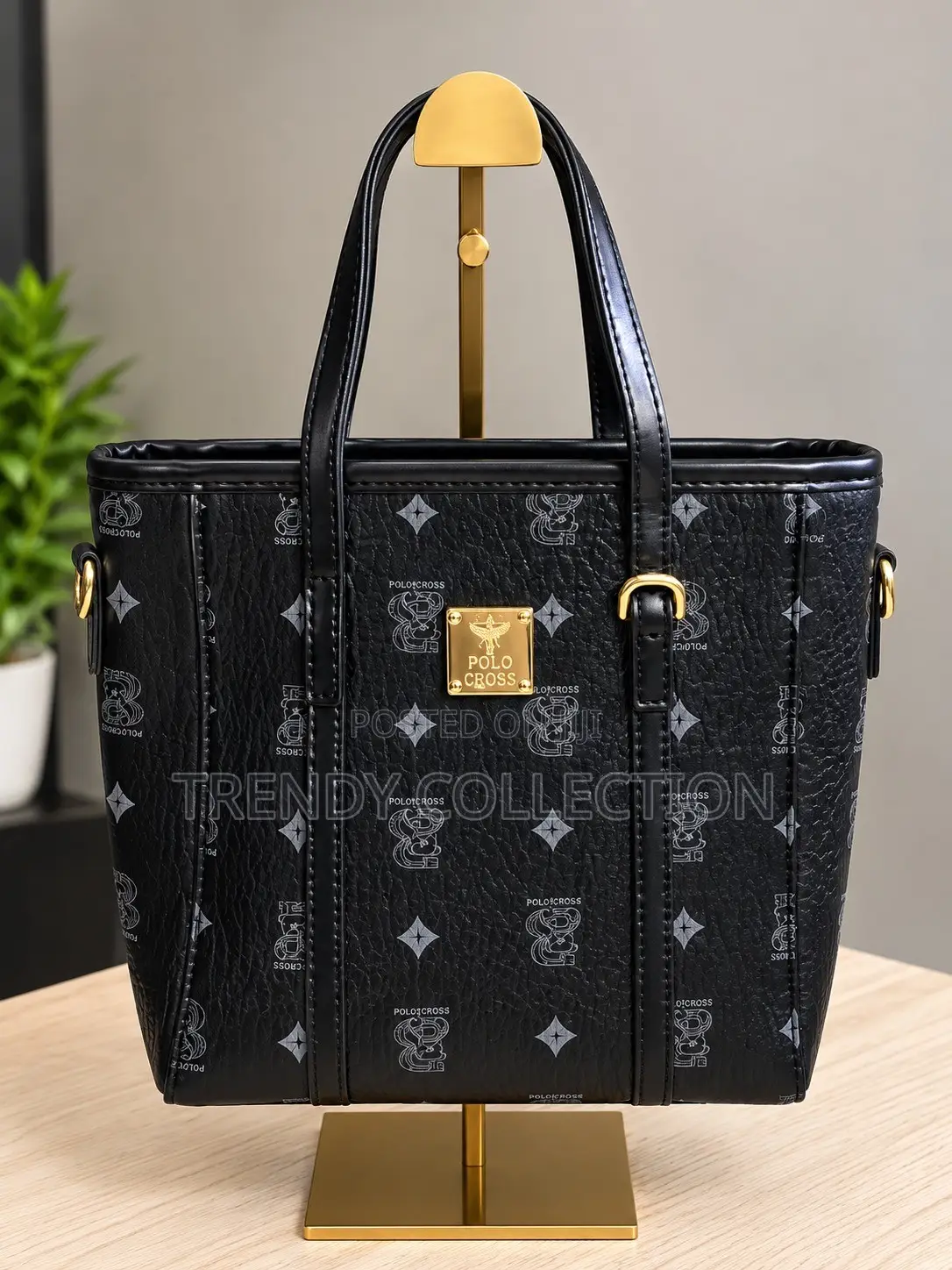 Classy Bags for Ladies