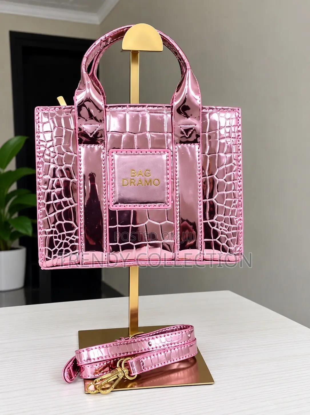 Classy Bags for Ladies