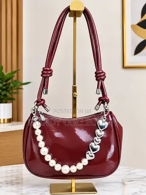 Classy Bags for Ladies