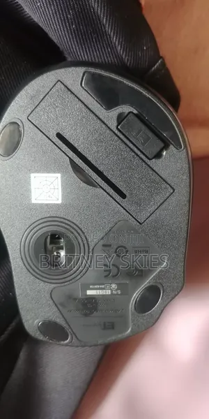 Computer Mouse