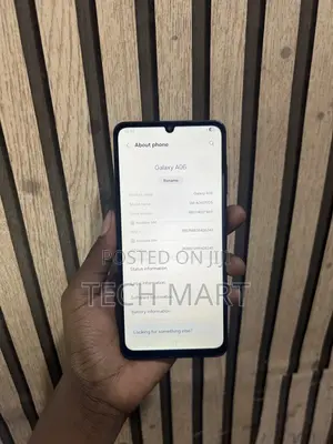 Samsung Galaxy A06 64 GB Blue