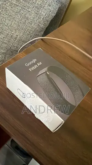Google Fitbit Air