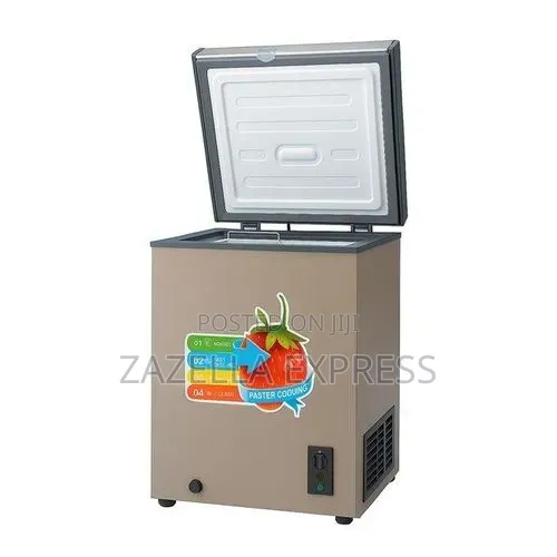 Pixel 150 Liters Deep Freezer / 150L Chest Freezer ? Energy Saving